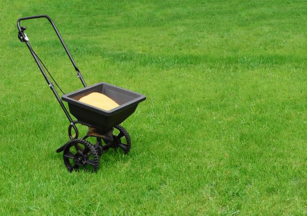 Dayton Lawn Treatment