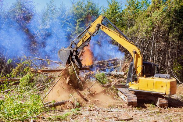 Dayton Land Clearing